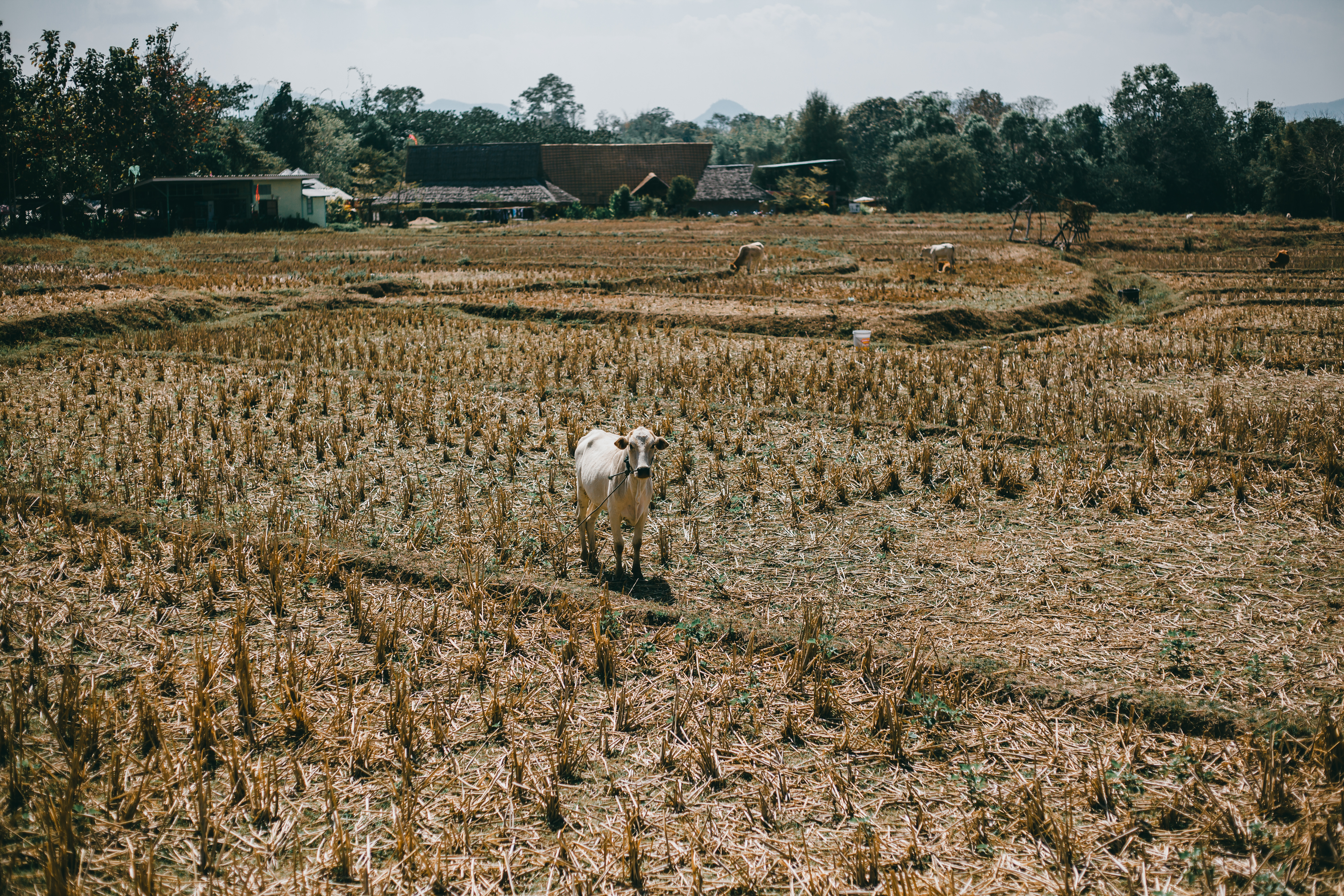 Climate Research