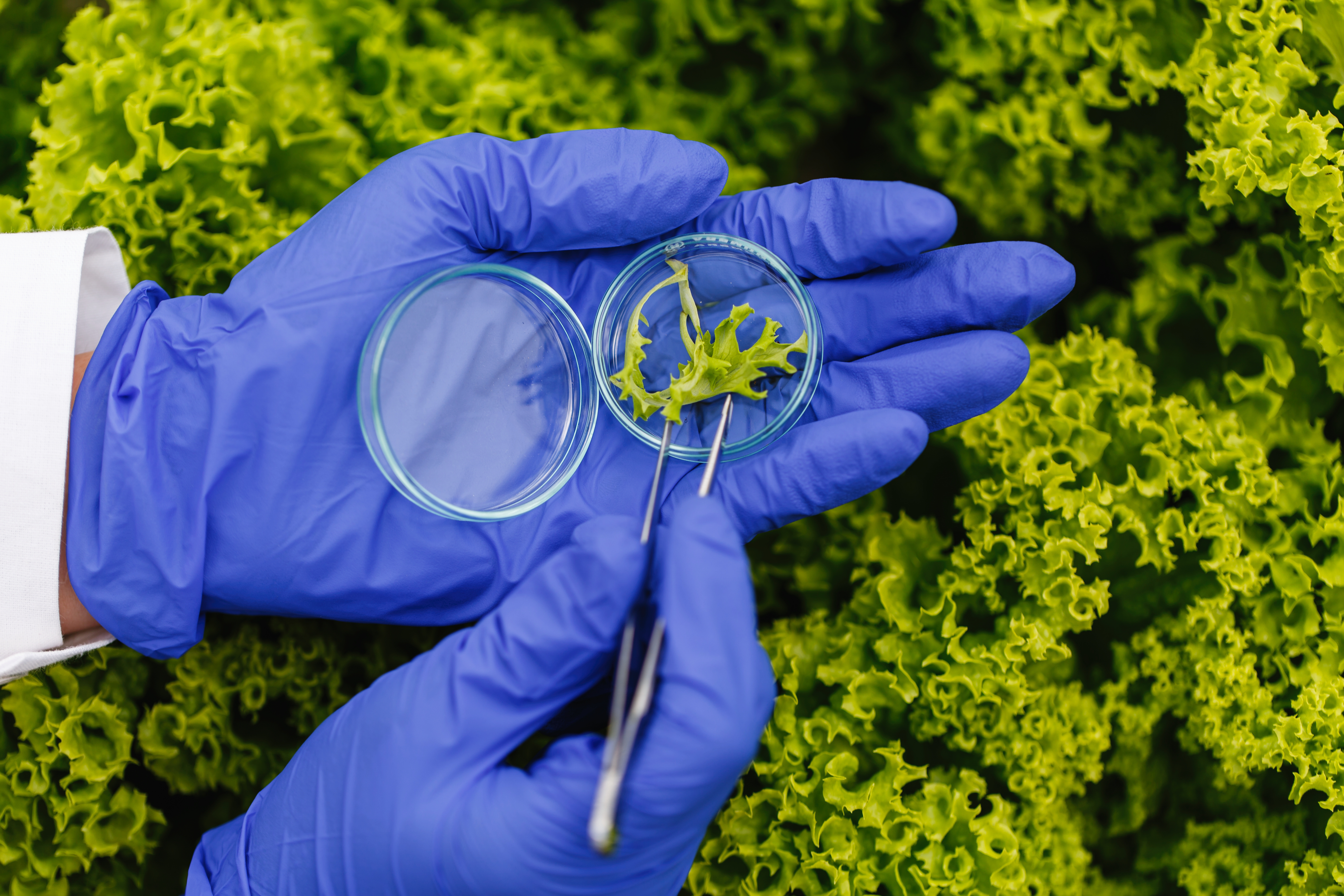 Nanotech Research
