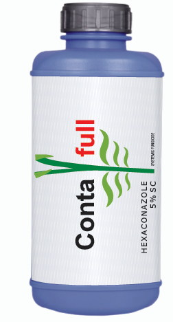 CONTA FULL