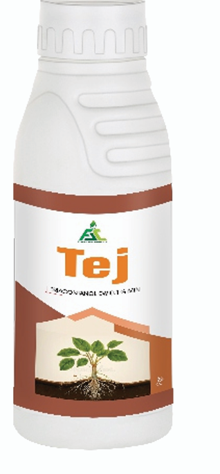 TEJ